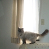 DSC01783.JPG