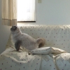 DSC01785.JPG