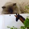DSC02262.JPG