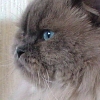 DSC02535.JPG