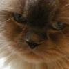 DSCN0132.JPG