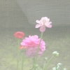 DSCN0135.JPG
