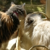 DSCN0359.JPG