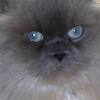 DSCN0518.JPG