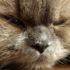 DSCN0933.JPG