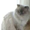 DSCN0969.JPG