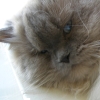 DSCN1041.JPG
