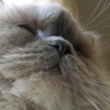 DSCN1049.JPG