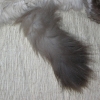 DSCN1227.JPG