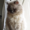 DSC03087.JPG