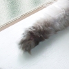 DSC03375.JPG