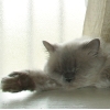 DSC03492.JPG