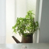 DSC03589.JPG