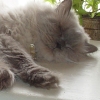 DSC03598.JPG