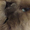 DSC03783.JPG
