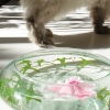 DSC04022.JPG