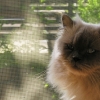 DSCN0064.JPG