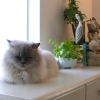 DSCN0167.JPG