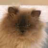 DSCN0199.JPG