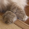 DSCN0425.JPG