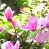 DSCN0539.JPG
