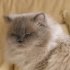 DSCN0640.JPG