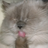 DSCN2226.JPG