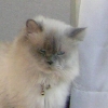DSCN2275.JPG