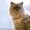DSCN2314.JPG
