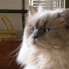 DSCN2623.JPG