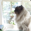 DSC04206.JPG