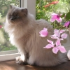 DSCN0682.JPG