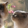 DSCN0685.JPG