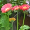 DSCN0742.JPG