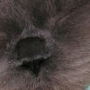 DSCN0772.JPG