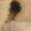 DSCN0887.JPG