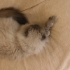 DSCN0930.JPG