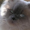 DSCN0998.JPG