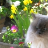DSCN1104.JPG