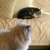DSCN1148.JPG