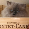 DSCN1231.JPG