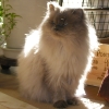 DSCN1253.JPG