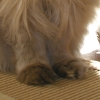 DSCN1257.JPG