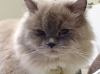 DSC00036-1.jpg