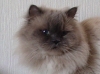 DSC02532.JPG