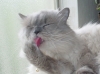 DSC03377.JPG