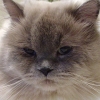DSC00036-1.jpg