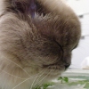 DSC00034.JPG