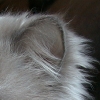 DSC00042.JPG