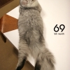 69-094.jpg